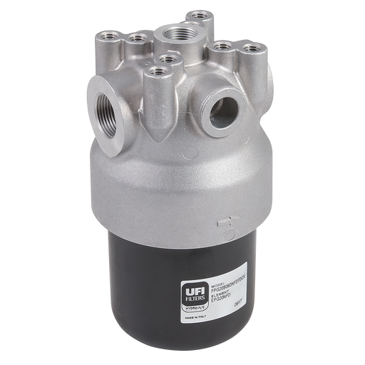 1" Bsp Femalehigh Pressure Filtration Pg Series Filter