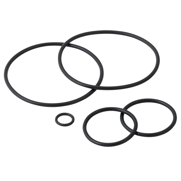 Gmf21 And 22 Viton Seal Kit