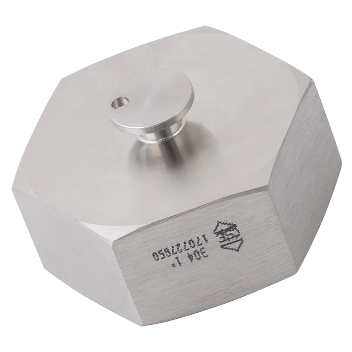 3" Rjt Hex Blanking Nut