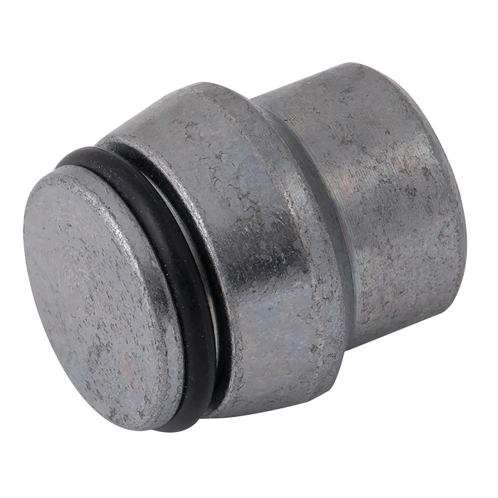 14Mm Od Blanking Plug (S)