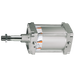 160X1250 3/4" Bspp S40 Dble Act Cylinder