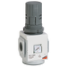 1/2" Regulator Bsp Parallel Female