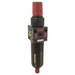 1/4" Reg Bspp Auto Drain