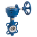5" Wafer B/Fly Valve Ci/Ss/Pt Gear