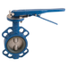 5" Wafer B/Fly Valve Ci/Ss/Sil Lever