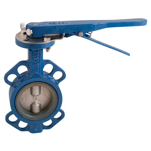 6" S300 Ci Wafer Bfly Ss Disc Sil. Liner