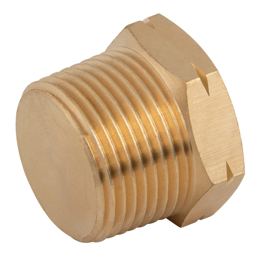 1/4" Bspp Male Solid Plug