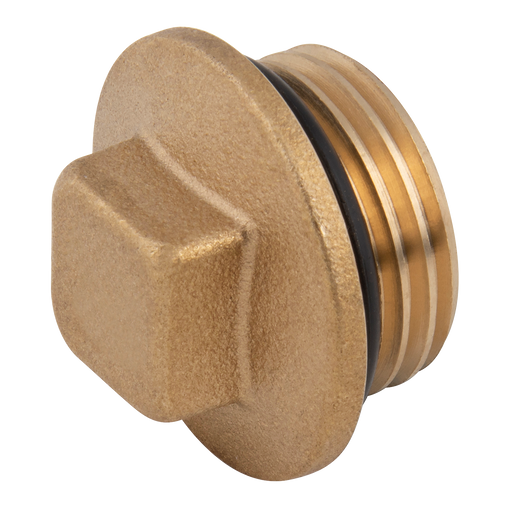 1/2" Bspp Male Square Head Plug