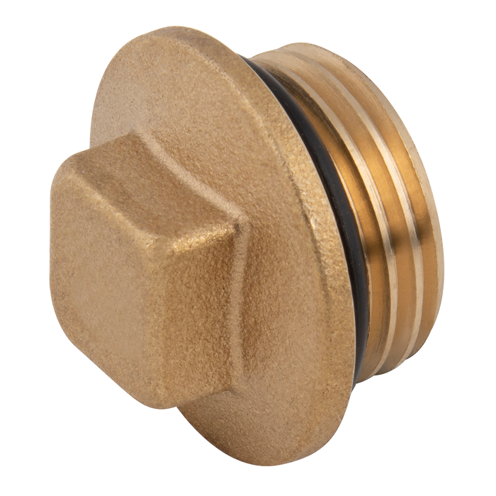 3/4" Bspp Male Square Head Plug