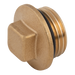 3/4" Bspp Male Square Head Plug