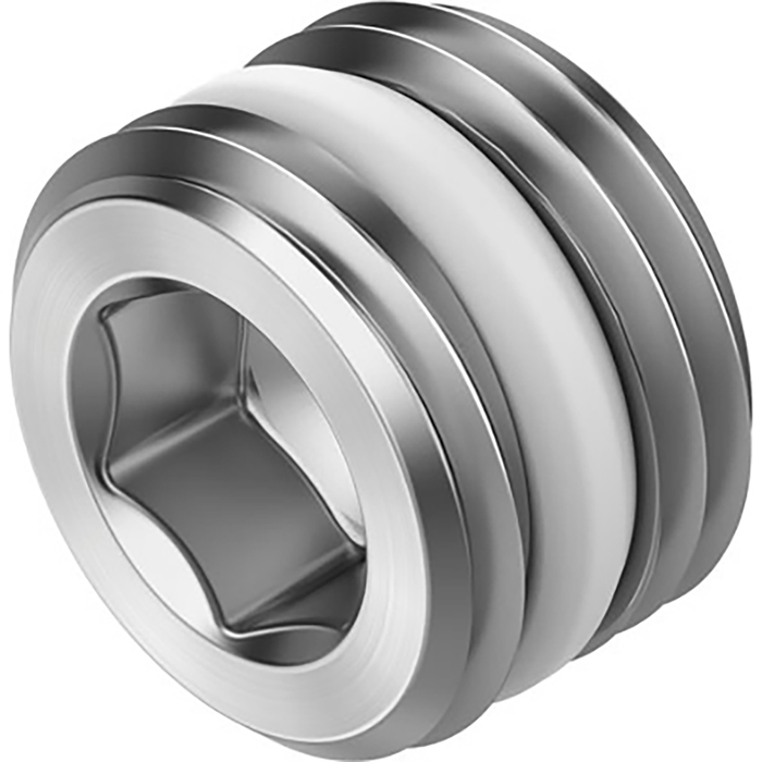Vame-P18-Bp-G18-P10 Plug Screw