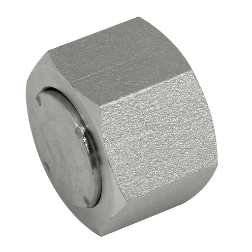 "1"" Orfs Female Steel Cap"