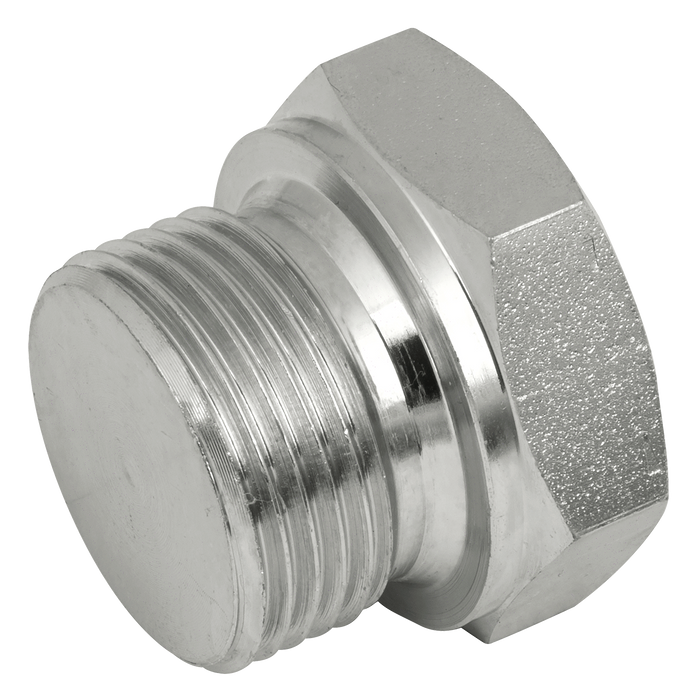 "2"" Bspp Male Solid Plug Steel"