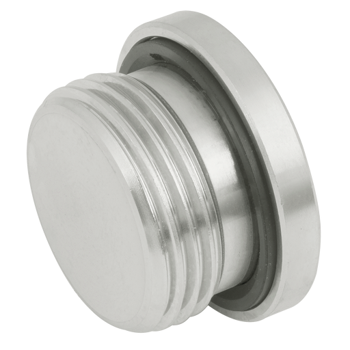 "3/4"" Bsp Socket Head Plug 3869 Seal"