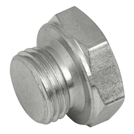 10Mm X 1.0Mm Metric Solid Steel Plug