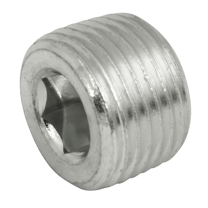 "1"" Nptf Hex Socket Steel Plug"
