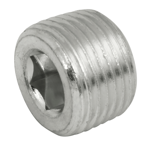 "1/8"" Nptf Hex Socket Steel Plug"