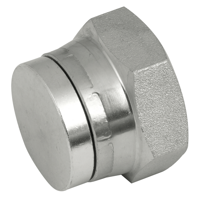 "3/4"" Bsp Swivel Steel Blanking Cap"