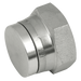 "3/4"" Bsp Swivel Steel Blanking Cap"
