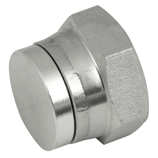 "1/2"" Bsp Swivel Steel Blanking Cap"