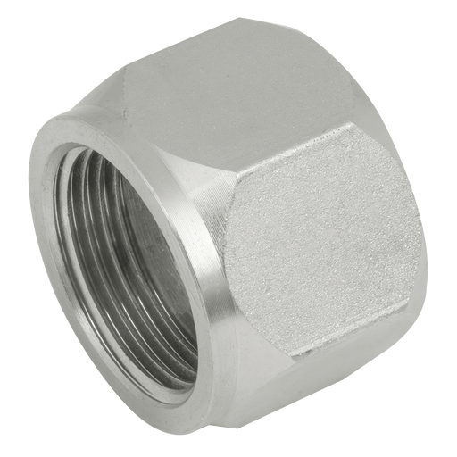 "1/4"" Jis (Bspp) Female Steel Cap"
