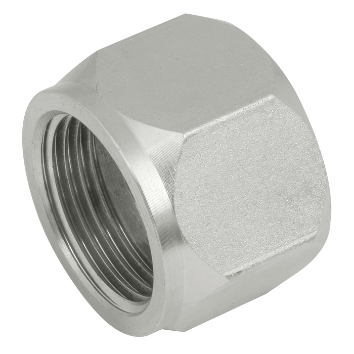 "1/4"" Jis (Bspp) Female Steel Cap"