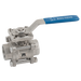 1" Bsp S/S 3Pc D/Mnt Fbbv
