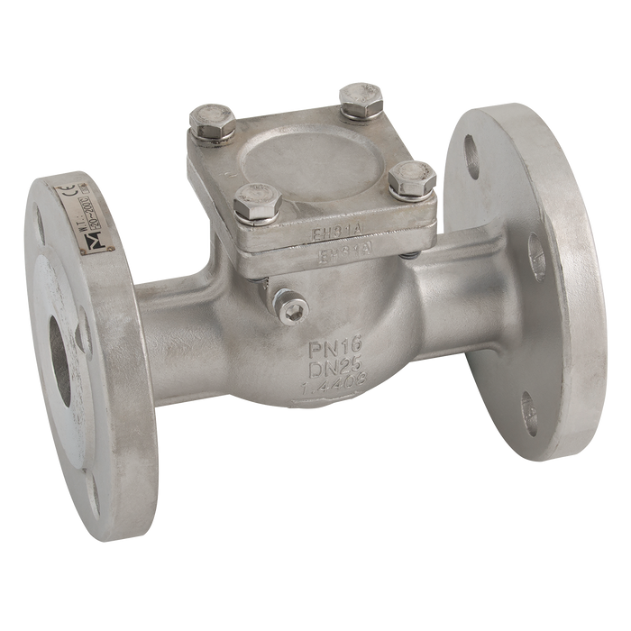 "2.1/2"" Pn16 Flange S/S Swing Check Valve"