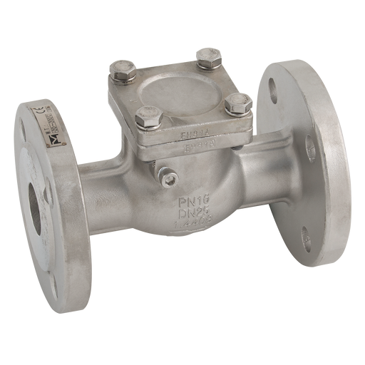 "6"" Pn16 Flanged St/St Swing Check Valve"