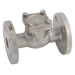 "6"" Pn16 Flanged St/St Swing Check Valve"