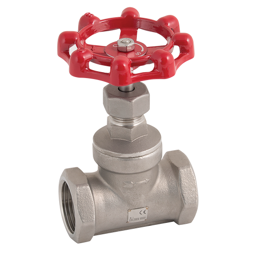 "2"" Bsp St/St Globe Valve 200Psi"