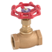 "2"" Bsp Screwed Pn25 Bronze Globe"