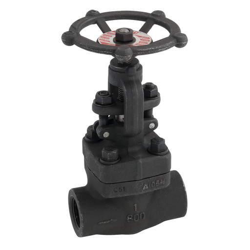 "2"" Npt #800 Globe Valve Hand Wheel Op"