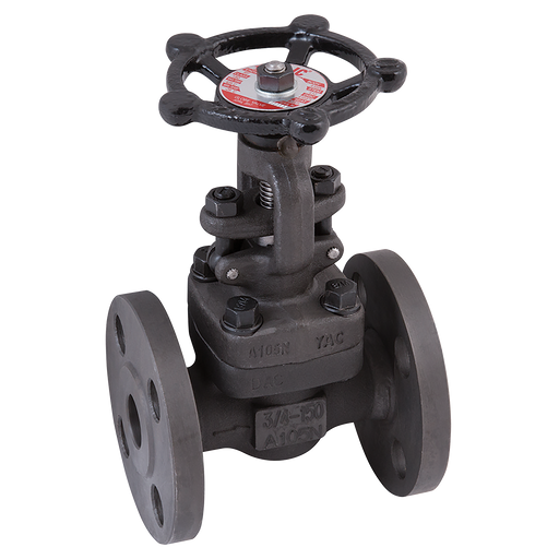 1.1/2" Ansi 150 Globe Val A105 Trim 5