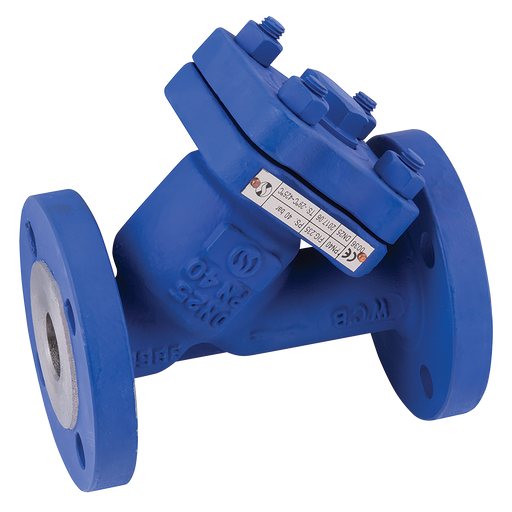 6" Pn40 Wcb Body Y Strainer