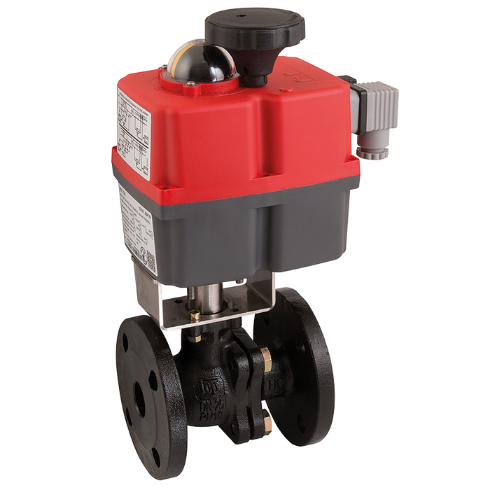 "2.1/2"" Pn16 Flanged Ci Bv J4Cs55 Mv Act"
