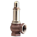 Brass/Bronze Spring Safety Rel Ief Valve - Size 1" - 5-12 Bar