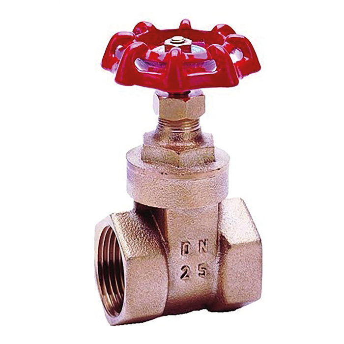1/4" Bspp Female Gate Valve