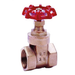 1/4" Bspp Female Gate Valve