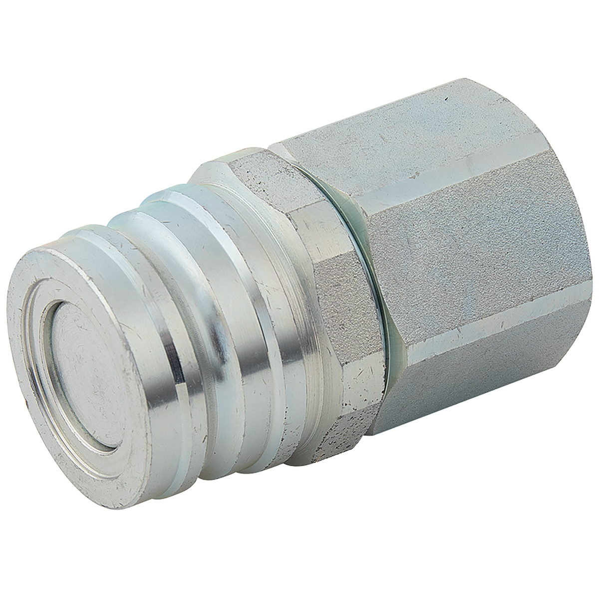 Holmbury TB12M8G 1/2" BSPP Female Coupling — FluidAirFittings