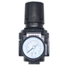 Ar5 Series Regulator 3/4" Relieving