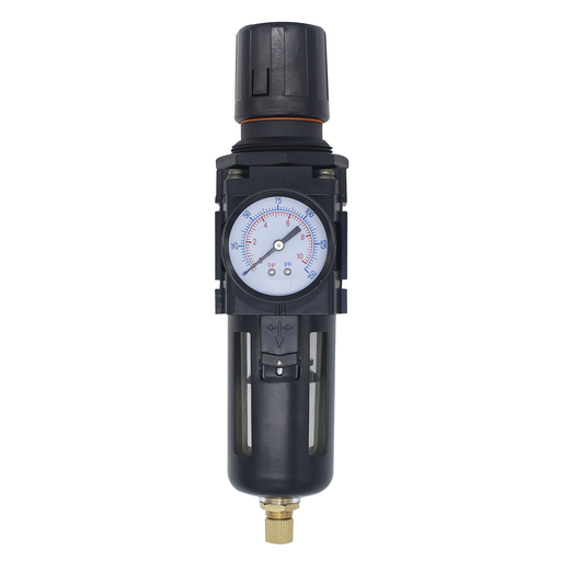 Aw3 Series F/Reg C/W Gauge 1/4 " Autodrain
