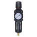 Aw3 Series F/Reg C/W Gauge 1/4 " Autodrain
