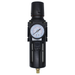 Aw5 Series F/Reg C/W Gauge 3/4 " Autodrain