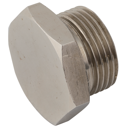 Hexagonal Solid Plug Bspp Bspp Male 1/4