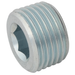 1" Bspt Allen Key Plugstainless Steel