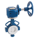 8" Wafer Bfly Vve Ptfe Lined Gear