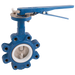 5" Pn16 L&T Bfly Vve Di/Di/Ep Lvr