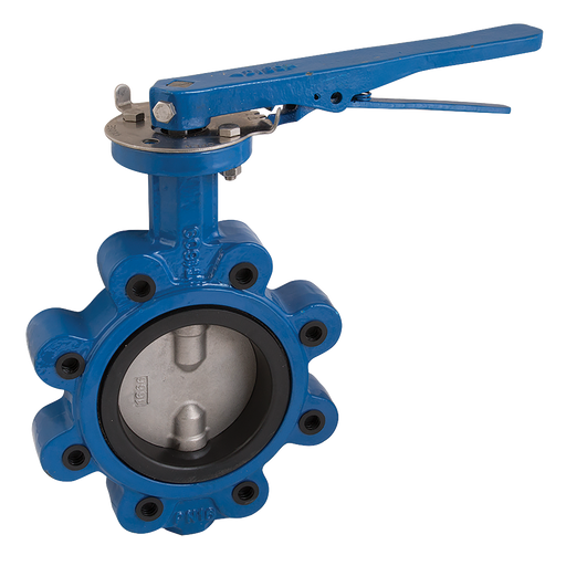 4" Pn16 L&T Bfly Di Bdy Di Disc Nbr Lvr