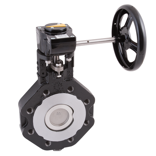 12" Pn20 L+T Bfly Vv Cs/Ss/Rtfe Gear Op